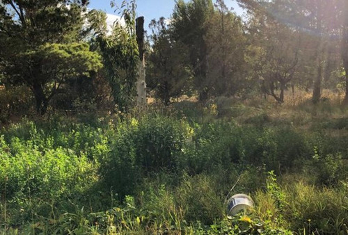 Lote De 1300 Mts2 Forestado Con Dos Departamentos