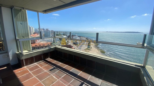 Apto Con Excelente Vista - Consulte !!!!!- Ref: 4167