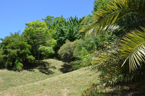 Imagen 5 de 14 de Venta Chacra 7 Hectareas A 40 Km De Mercedes