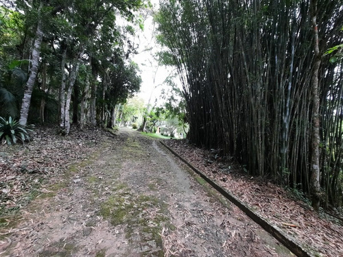 Imagem 18 de 30 de Lindo Sítio Em Juquitiba