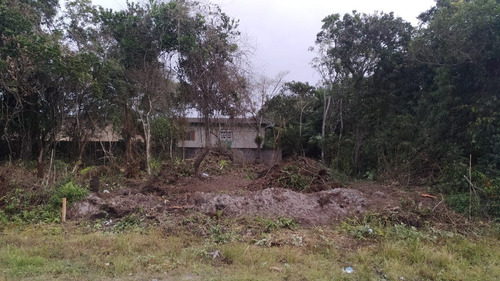 Imagem 1 de 5 de Terreno 250m² Escriturado, Ambiental Ok (cetesb E Prefeitura) E Projeto Pré-aprovado!