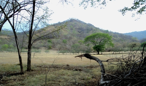 Imagen 6 de 14 de Guanacaste, Playas Del Coco, Preciosa Finca,