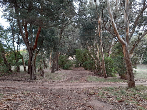 Terrenos En Venta - 1.167mts2 - Arenas Verdes, Lobería