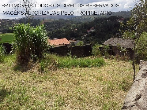 Imagem 7 de 17 de Terreno - Te00049 - 3058071