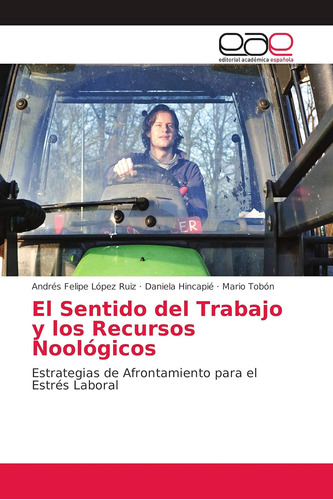 Libro:el Sentido Del Trabajo Y Los Recursos Noológicos: Estr