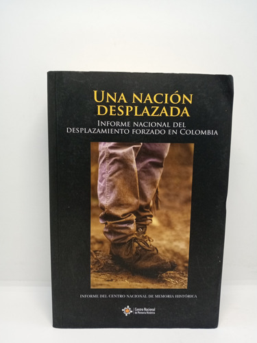 Una Nación Desplazada - Informe Del Desplazamiento Forzado 