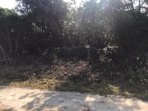 Imagem 3 de 4 de Terreno Na Praia Em Itanhaém Com 250m² 6507