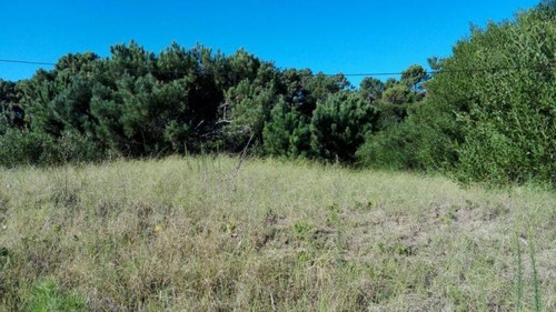 Imagen 1 de 3 de Terreno En Venta En Las Gaviotas