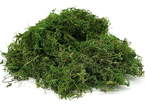 Musgo Falso De Usmola, Musgo Verde Artificial Para Plantas E