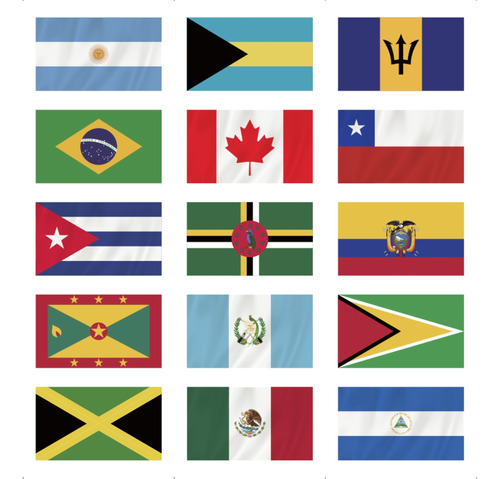  100 Banderas Del Mundo