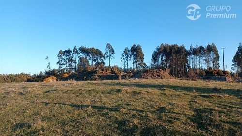 Terreno En Venta En Isla Puluqui Comuna De Calbuco