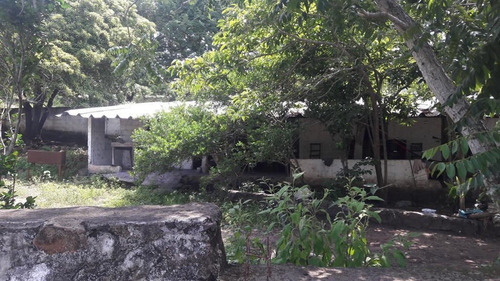 Rancho En Venta En Veracruz Carretera Paso De Ovejas