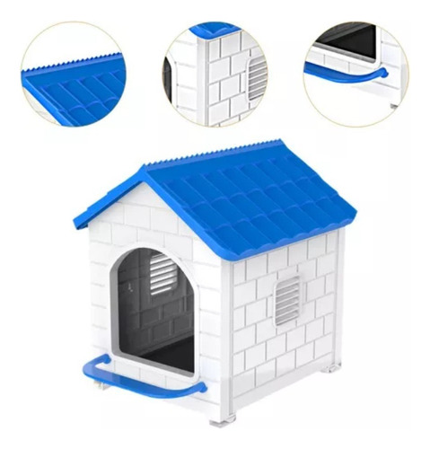 Nuevo Nido De Gallina For Huevos Frescos En Casa Azul Sin