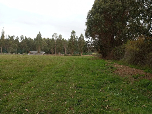 Vendo 3,56 Ha De Terreno, Especial Para Cultivo De Avellano,