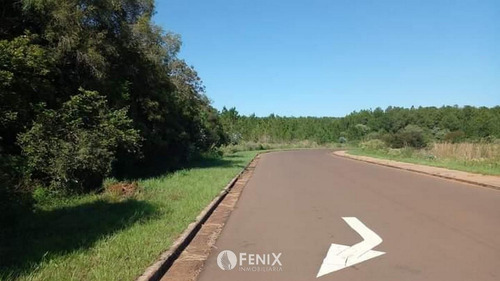 Tf731 - Terreno En Venta Z/ Candelaria