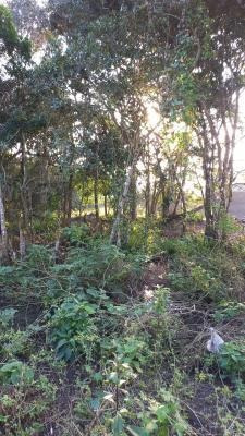 Imagem 1 de 5 de Terreno Com Escritura Medindo 181m² De Área Em Itanhaém Sp
