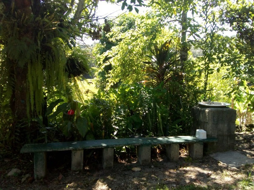 Imagem 22 de 30 de Fazenda Em Juquitiba; Fazenda À Venda Em Juquitiba Sp - 241 - 32982716
