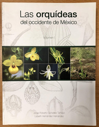 Las Orquídeas Del Occidente De México 8152l
