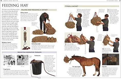 Manual De Cuidado De Caballo Completa