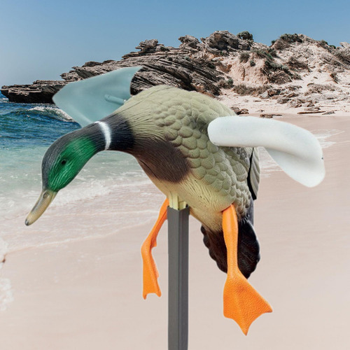 Viento Flying Duck Mallard Ducks Models Ducks Hunting