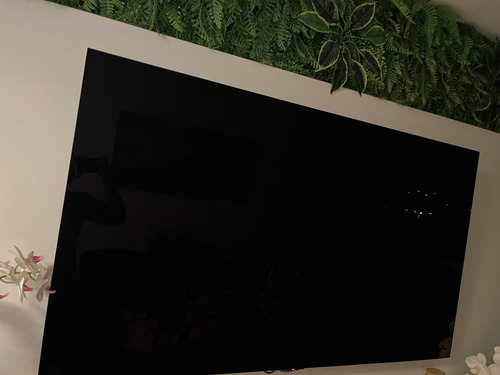Smart Tv Lg Oled Evo C3 65 4k, 2023 Oled65c3psa (Usado)