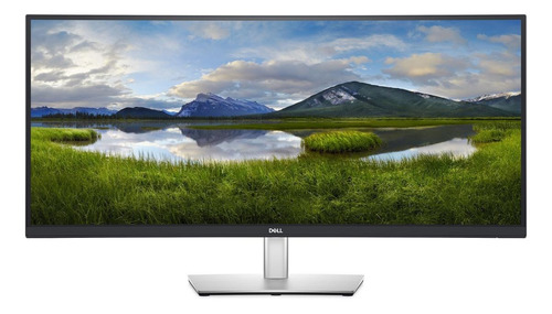 Monitor curvo Dell P Series P3421W led 34" negro y plata 100V/240V