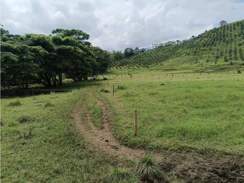 Se Vende Finca Vía Barragan - Rio Verde