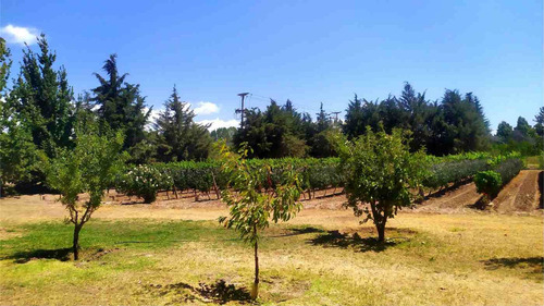 Finca En Producción - Tunuyán