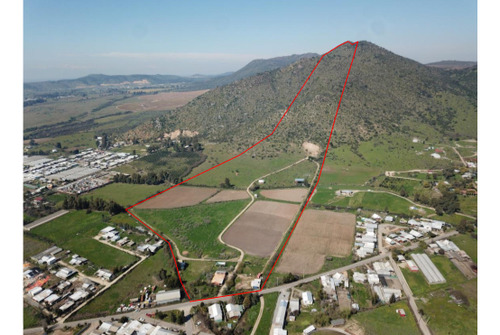 Imagen 24 de 24 de Agrícola En Venta En Maule