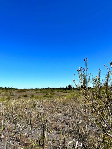 Ultimas Parcelas En Yungay Fundo Newenko (72504)