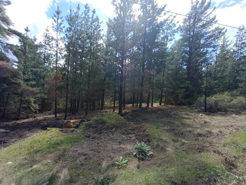 Imagen 8 de 12 de Terreno - Epuyen