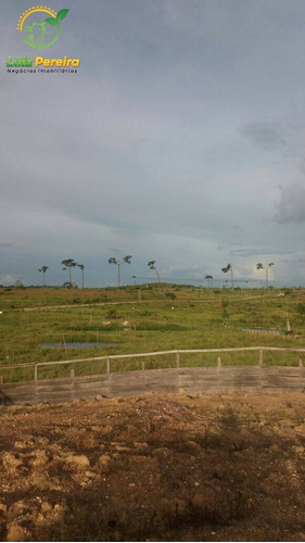 Imagem 1 de 15 de Fazenda À Venda Em São Felix Do Xingu - Pa - 2.904 Hectares (dupla Aptidão) - 2033