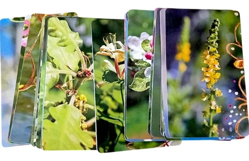 Oráculo Flores De Bach 38 Cartas Librito Macro - Lucilla Sat