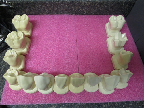 Ptc Ness Tooth Lot Of 14 Teeth - Dental Lab Productivity Mmf