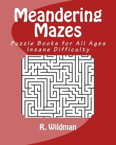 Meandering Mazes Puzzle Books For All Ages  Insane Difficult
