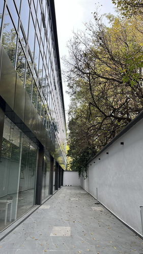 Renta Oficina 1-5 Personas Todo Incluido, San Miguel Chapultepec, Miguel Hidalgo