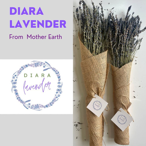 Ramo Flor Lavanda Seca S Diara Para Decoracion Regalo Boda 2