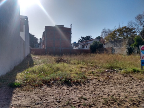Imagen 2 de 5 de Amplio Lote En San Bernardo (se Escuchan Oferta)