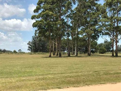 Venta Lote Terreno Barrio Cerrado Privado El Quijote Camino Eguzquiza La Barra Punta Del Este Maldonado