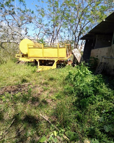 Imagen 12 de 16 de Vendo Finca Araguaney Yaracuy Dt
