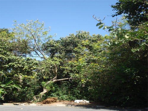 Terreno À Venda, 2021 M² Por R$ 430.000,00 - Vila De São Fernando - Cotia/sp - Te7726