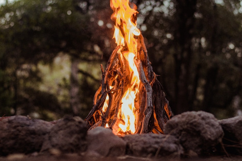 Imagen 7 de 10 de Ocote Iniciador De Fuego Premium Natura Leña Asador Fogata