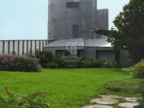 Campo. Parque Tepuhueico