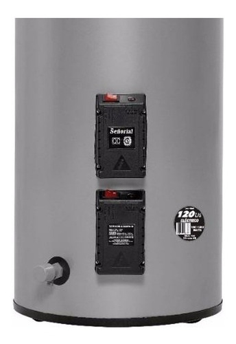 Imagen 2 de 2 de Termotanque eléctrico Señorial Family TTS-120 EAR gris plata 120L 220V