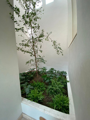 Imagen 7 de 11 de Condominio Venta Paseo Del Pedregal, Jardines Del Pedregal