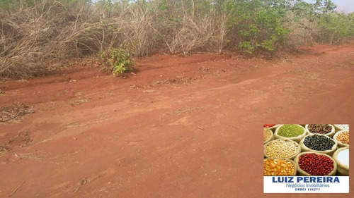 Imagem 14 de 15 de Fazenda Á Venda Em São Valerio - To - De 225 Alqueirões - 1586