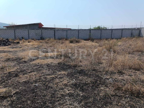 Terreno En Venta En Chinconcua, Municipio De Emiliano Zapata, Morelos