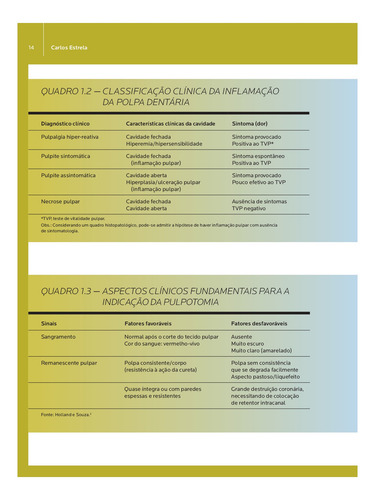 Endodontia Laboratorial e Clínica, de Estrela, Carlos. Abeno Editorial Editora Artes MÉDicas Ltda., capa mole em português, 2013