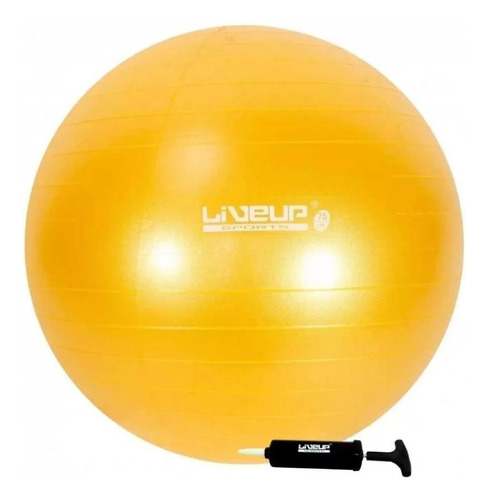 Bola Suiça 75 Cm Premium C/ Bomba Yoga Pilates