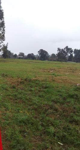Vendo Casa + Campo 3 Padrones Fraccionados Total 4.8 Hectáreas Montevideo Urbano. Conectado A Saneamiento, Ute, Ose, Antel, Internet. Los 3 Padrones Usd 239.000 Dolares